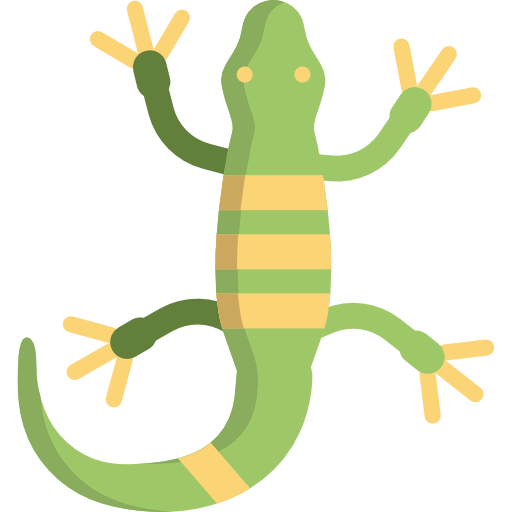Lizard icon