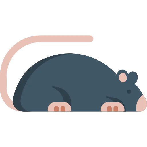 Animals icon