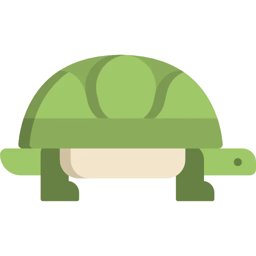 Turtle icon