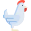 Hen icône 64x64