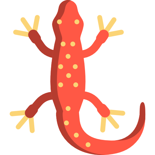 Salamander icon