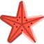 Starfish icon 64x64