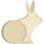 Rabbit icon 64x64