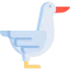 Duck Ikona 64x64