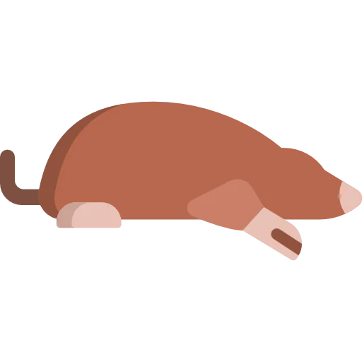 Mole icon