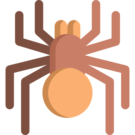 Spider icon