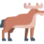 Moose icône 64x64