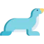 Sea lion icon 64x64