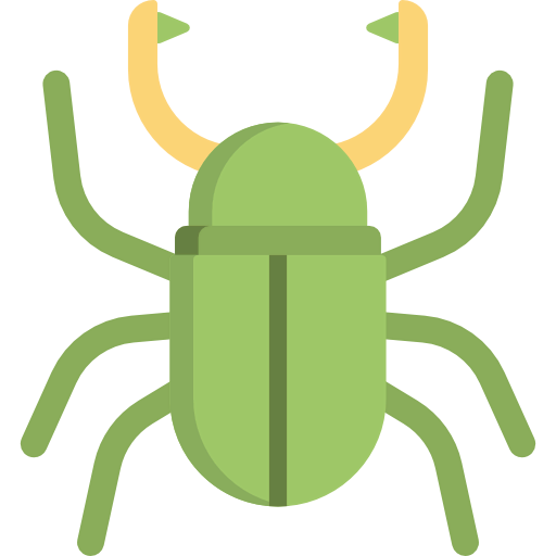 Beetle icon