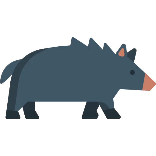Boar icon