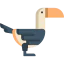 Toucan icône 64x64