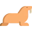 Walrus icon 64x64