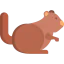 Squirrel icon 64x64
