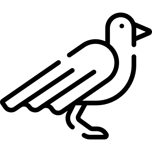 Bird icon