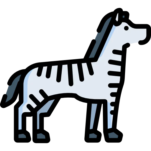 Zebra Symbol