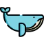 Whale icon 64x64
