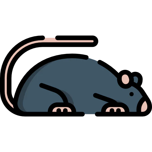 Animals icon