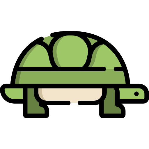 Turtle Symbol