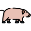 Pig icon 64x64