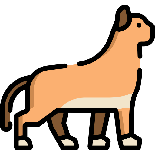Cat icon