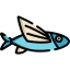 Flying fish biểu tượng 64x64