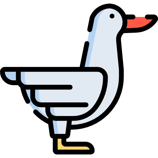 Duck icon