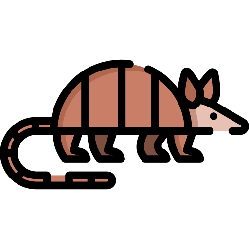 Armadillo icon