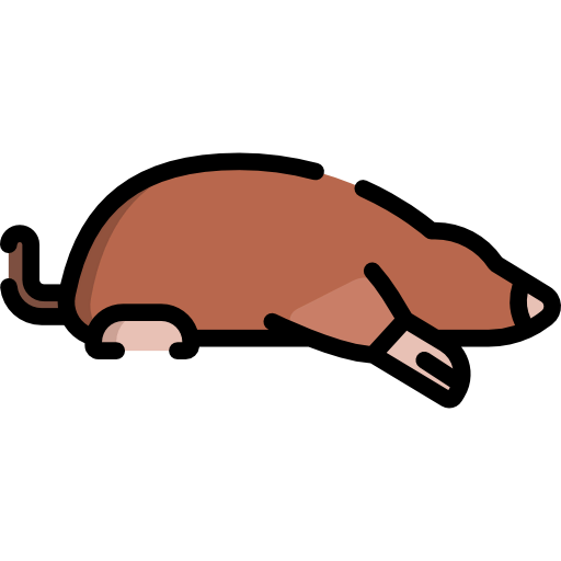 Mole icon