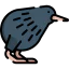 Kiwi icon 64x64