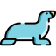 Sea lion icon 64x64