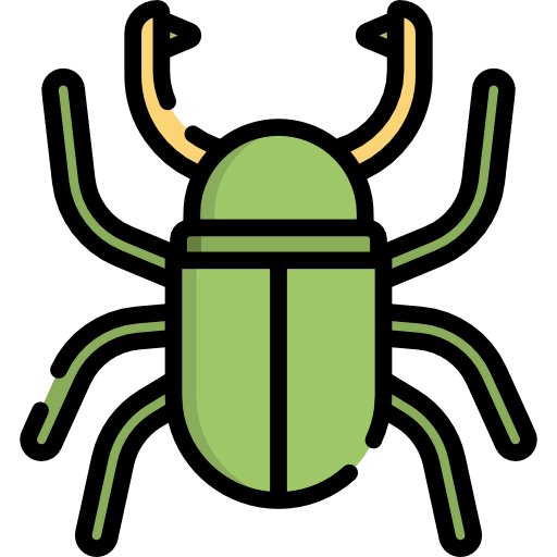 Beetle icon