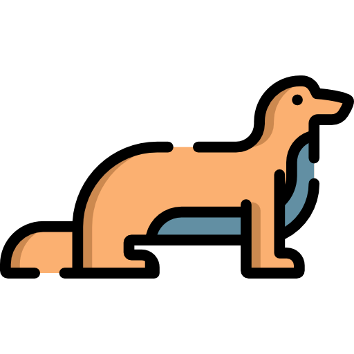 Animals icon