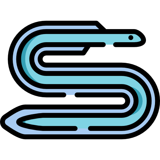 Eel icon