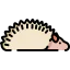 Hedgehog icon 64x64