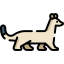 Ermine icône 64x64