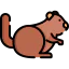 Squirrel icon 64x64
