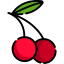 Cherry Symbol 64x64