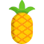 Pineapple Symbol 64x64