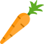 Carrot Ikona 64x64
