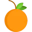 Orange icon 64x64