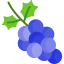 Grapes icon 64x64