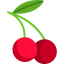 Cherry icon 64x64