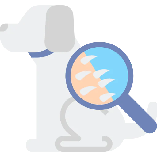 Dermathology icon