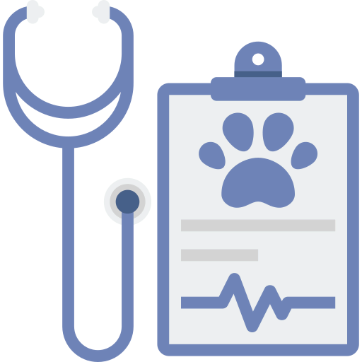 Checkup icon