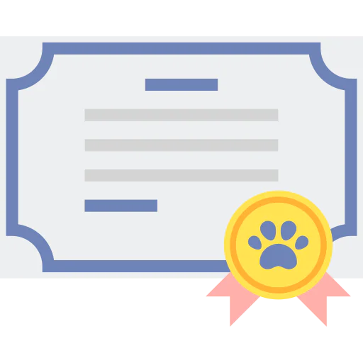 Certificate icon