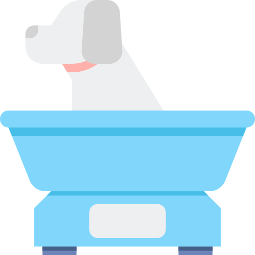 Scale icon