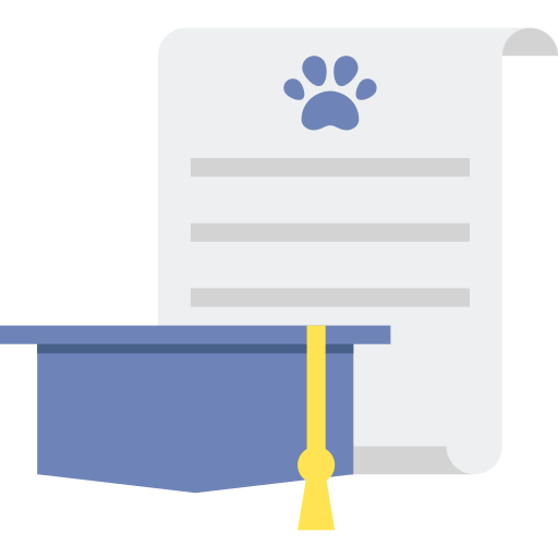 Certificate icon