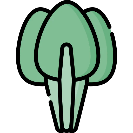 Spinach icon