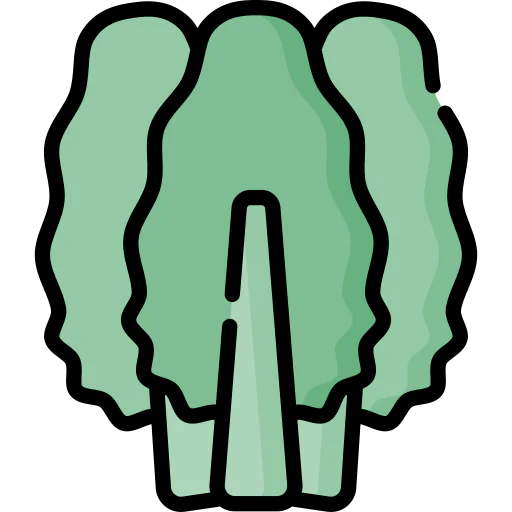 Chard icon