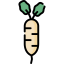 Turnip Ikona 64x64
